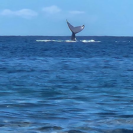 Moorea Temae Bungalow Lory Bord De Mer 외부 사진